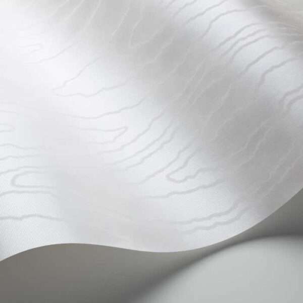 Detail van behang Watered Silk uit de Landscape Plains-collectie van Cole & Son